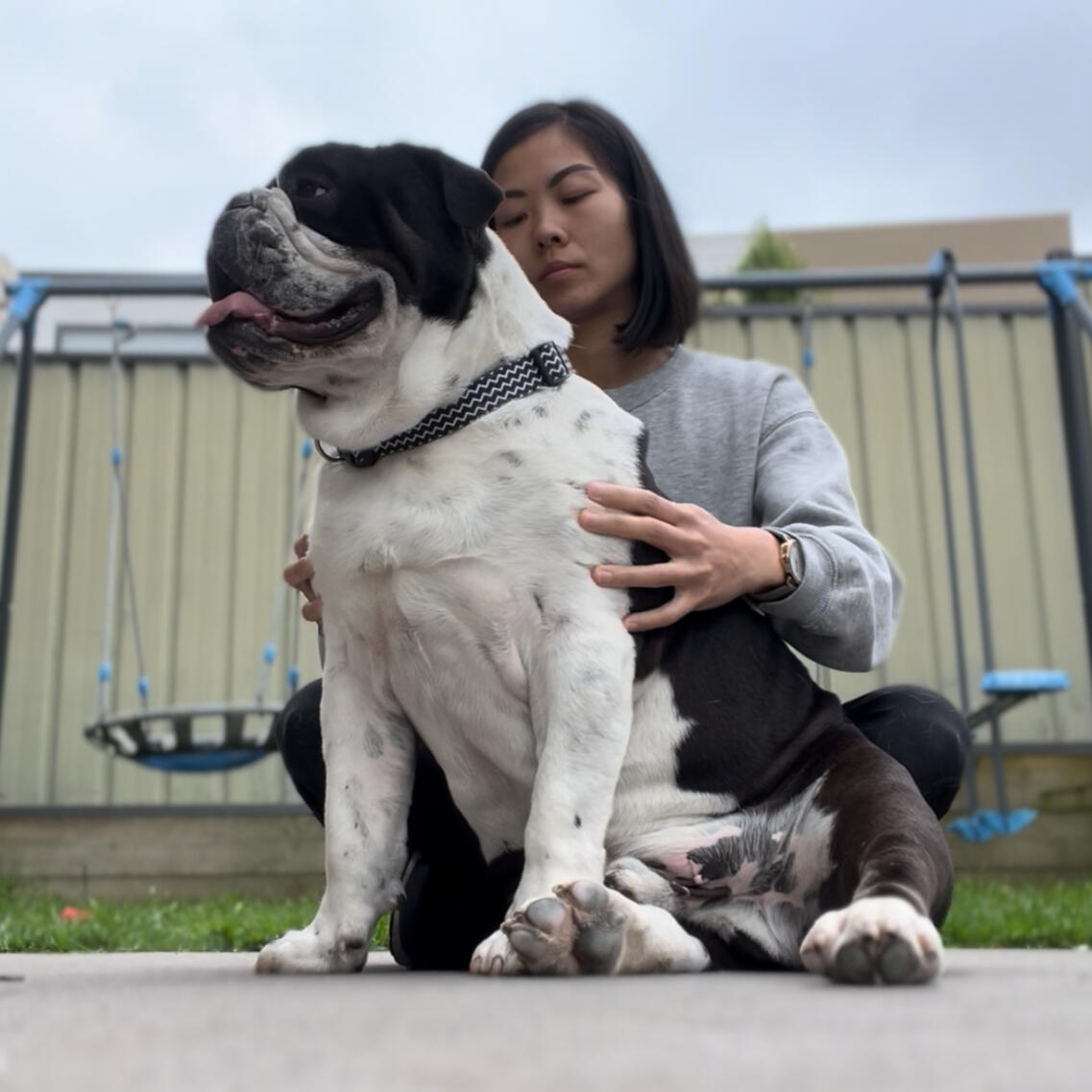 Blissful 45 minute bodywork session for pets – Pure Bliss Pet Wellness, South East Melbourne